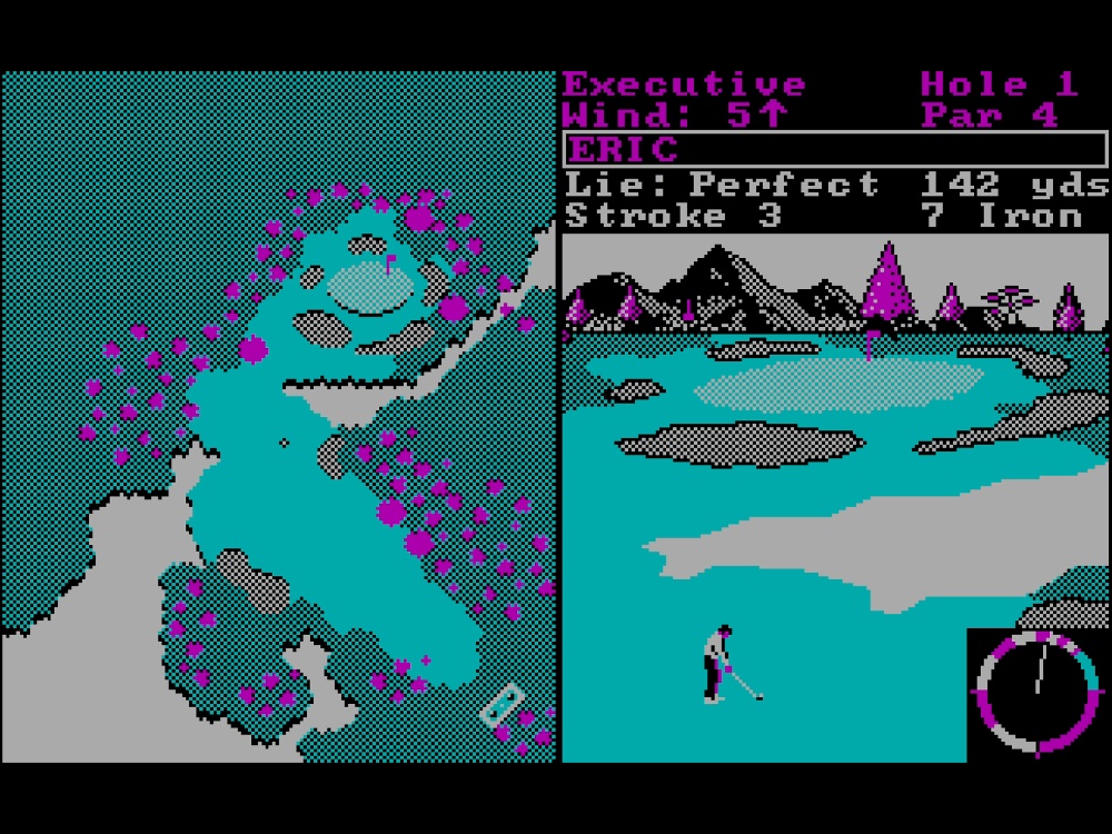 Gameplay of World Tour Golf for DOS